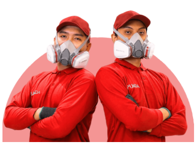 Pentingnya Menggunakan Jasa Pembasmi Hama Profesional untuk Lingkungan Sehat